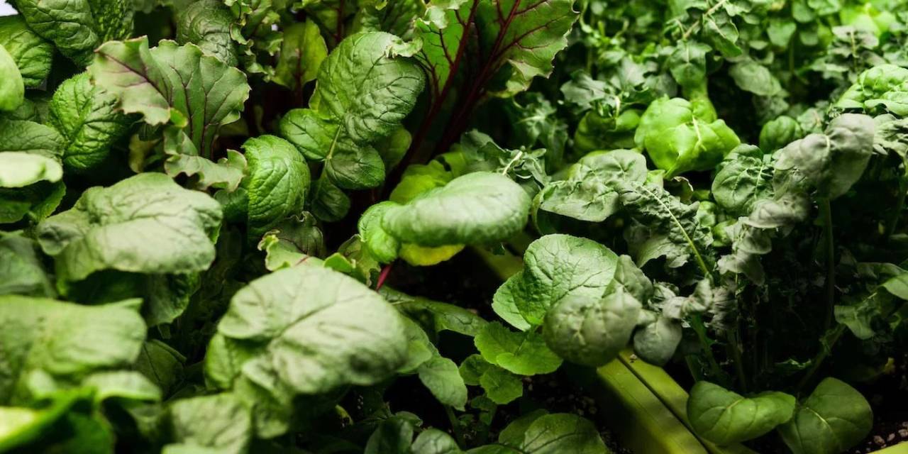 Bilim insanları uyardı: Eksikliği beyni olumsuz etkiliyor