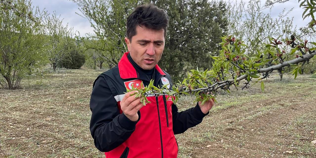 Yozgat’a can suyu oldu