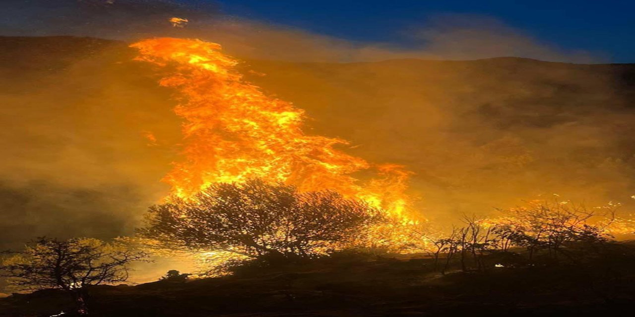 İzmir Yamanlar yangını davasında tutuklu sanık kalmadı