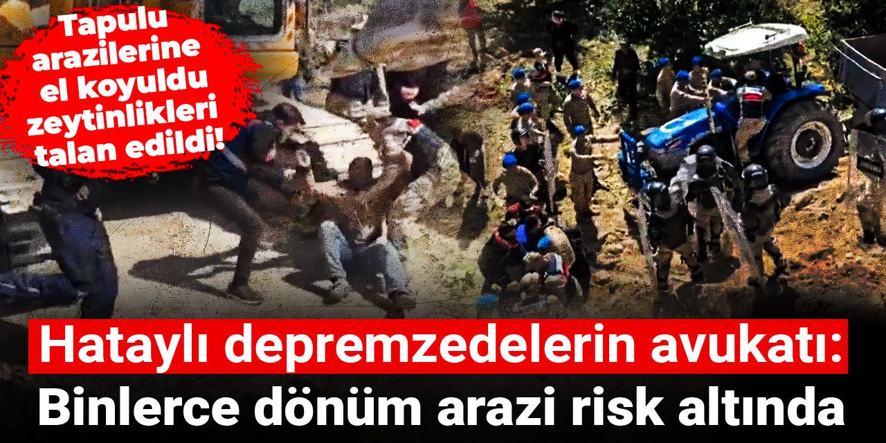 Tapulu arazilerine el koyuldu, zeytinlikleri talan edildi! Hataylı depremzedelerin avukatından çarpıcı açıklama