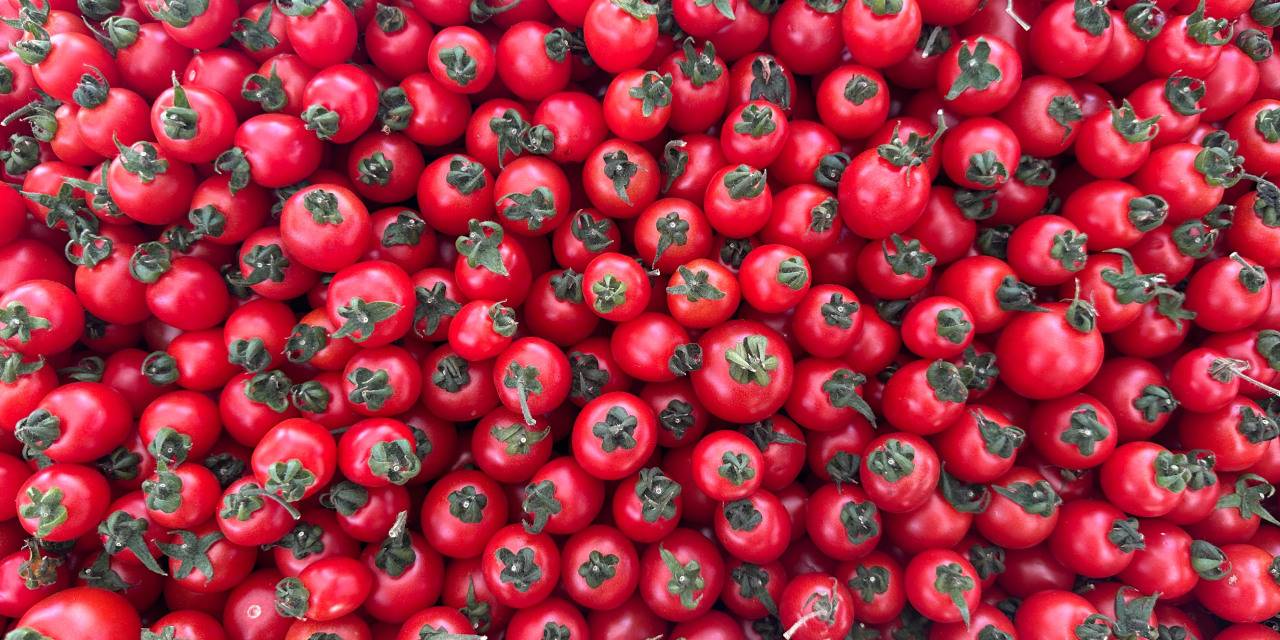 En yüksek risk seviyesiyle çağırıldılar! Tonlarca domates piyasadan toplatılıyor