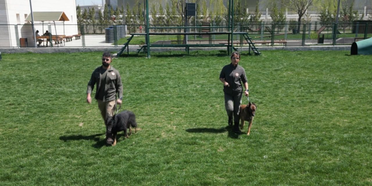 11 yıl hizmet veren köpekler artık emekli oldu