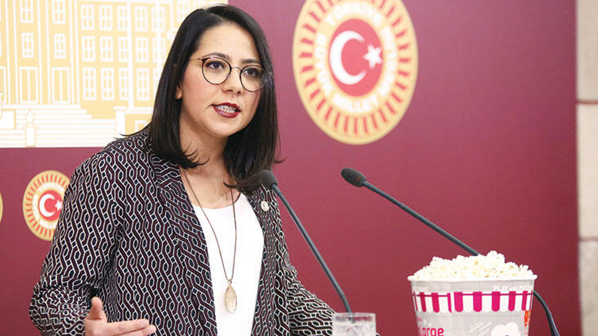 CHP'li Sera Kadıgil'den AKP'li Akbaşoğlu'na: Bıyıklıyla muhatap olmak istemiyorum