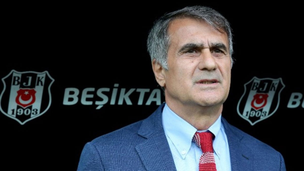Beşiktaş'tan ayrılan Şenol Güneş'ten çok önemli açıklamalar