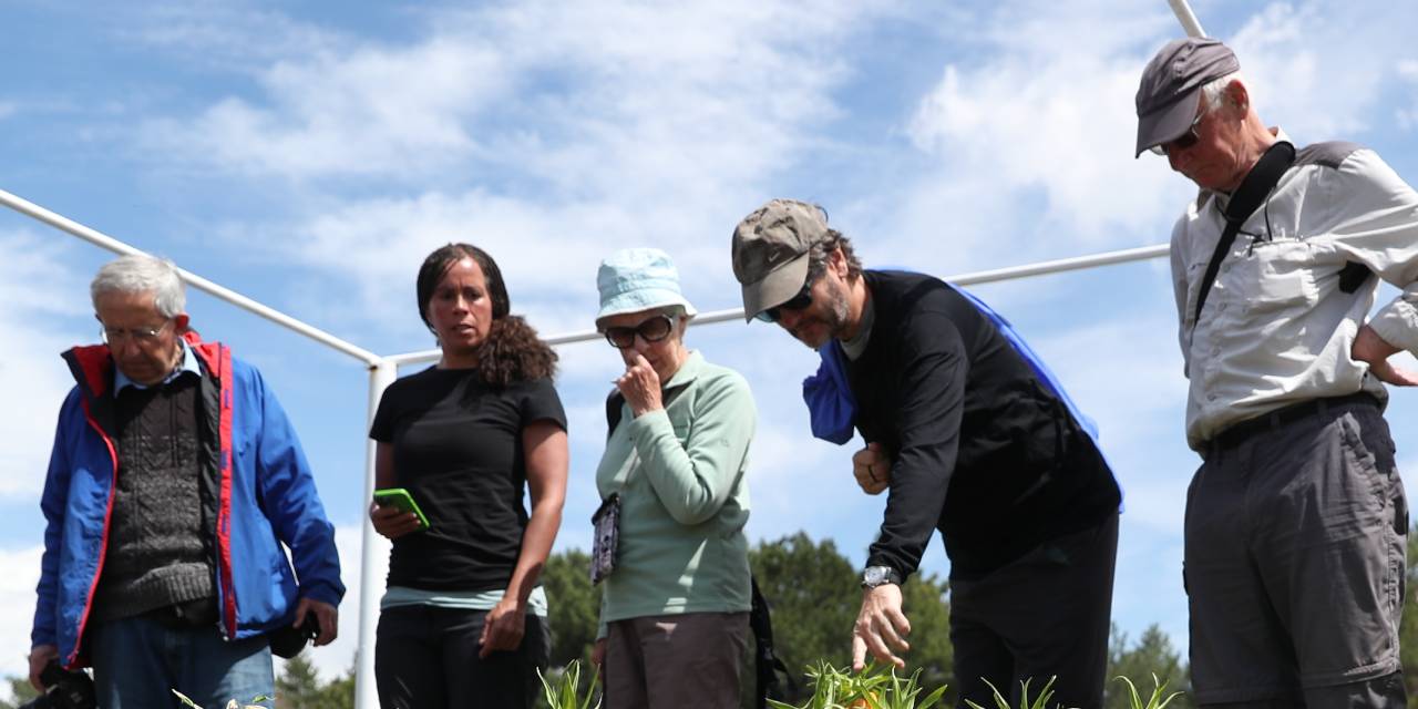 Erzincan'da yapılıyor: Bilim insanları görmek için Türkiye'ye geliyor