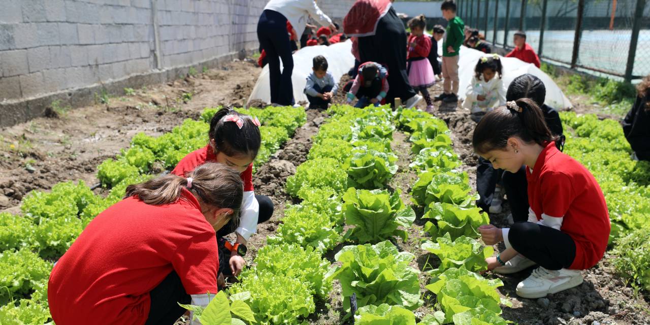 Öğrenciler tableti bıraktı toprağa sarıldı