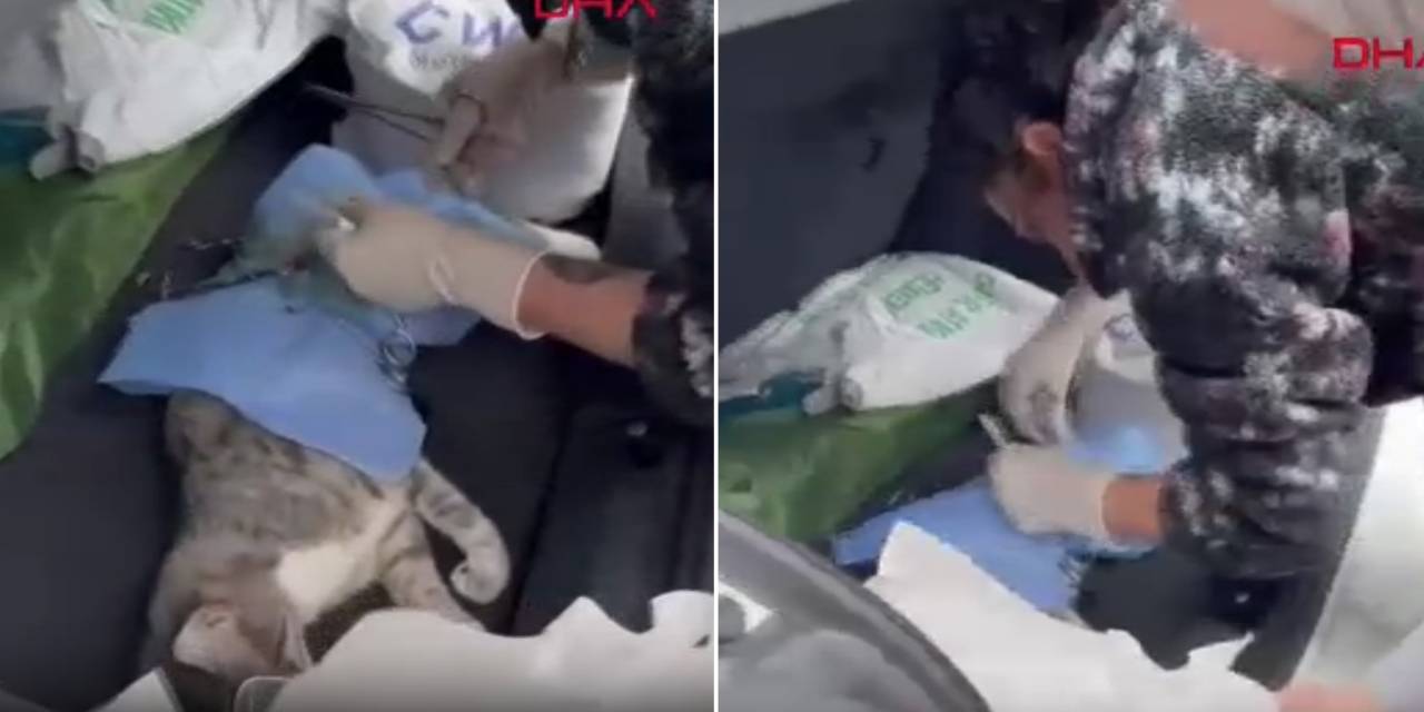 Veteriner depreme ameliyatta yakalandı!
