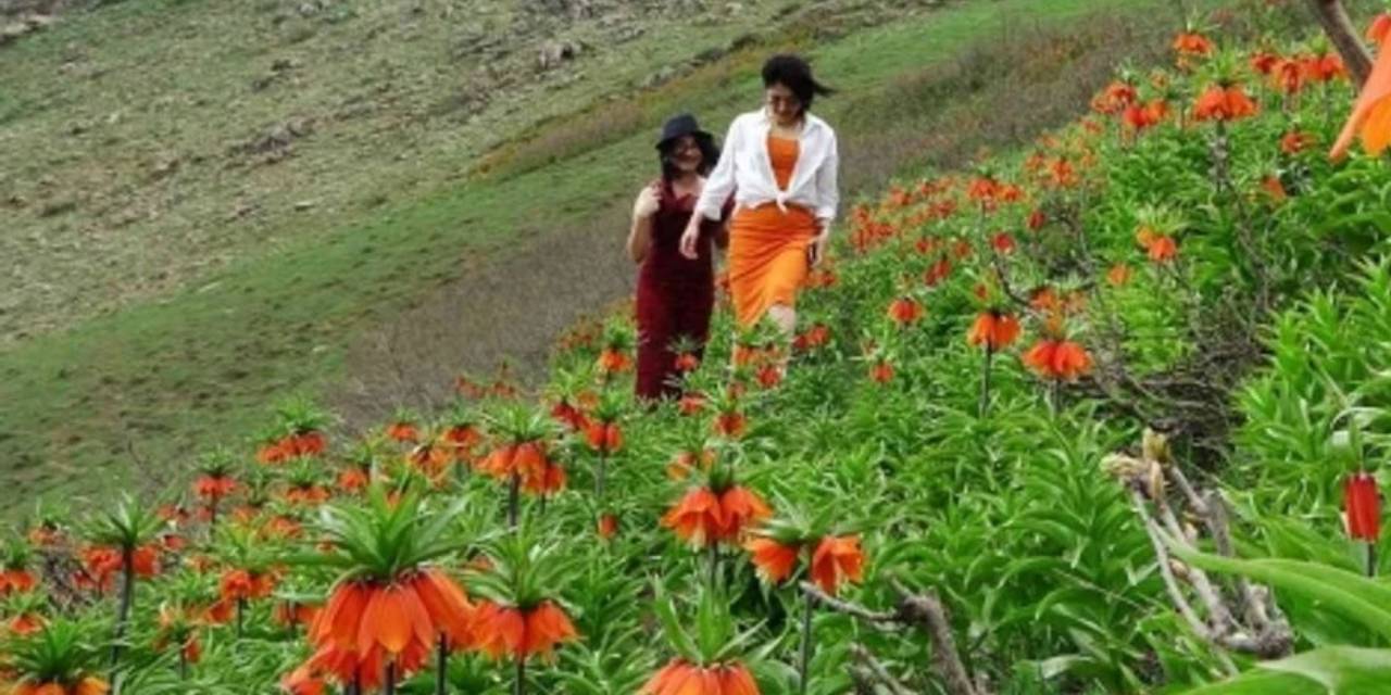 Yerinde görmek için 3 saat yürüdüler