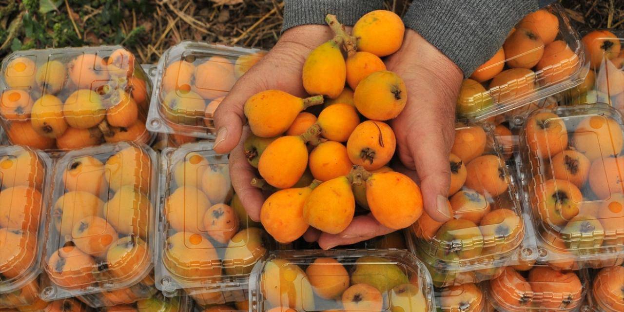 Bu meyvenin kebabı da varmış