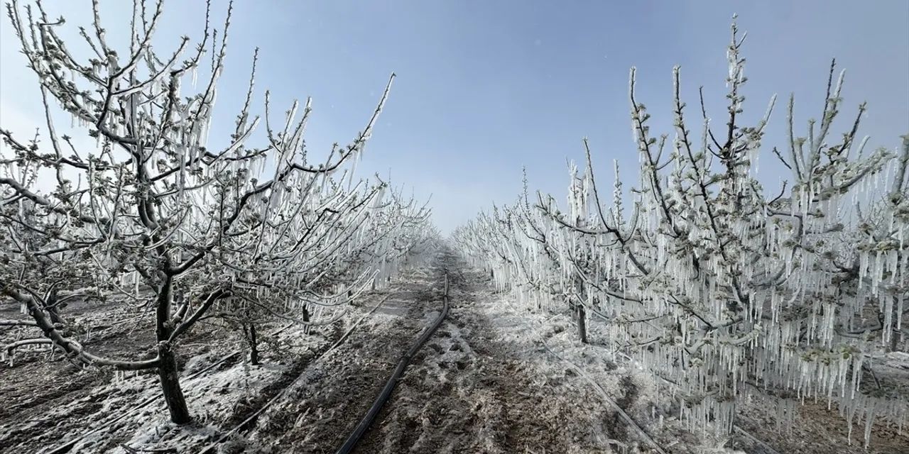 CHP'li Aşkın Genç: Zarar gören tüm üreticiler için acil destek ve kredi erteleme paketleri açıklanmalı