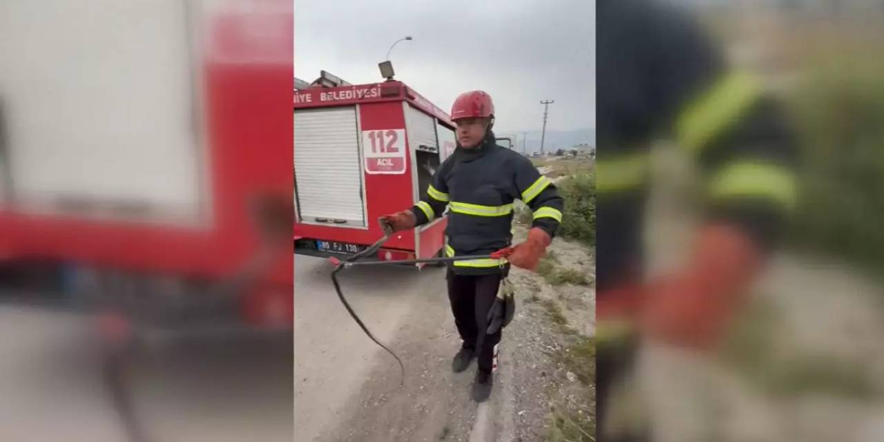 Elektrik panosunda yılan paniği! İtfaiye harekete geçti