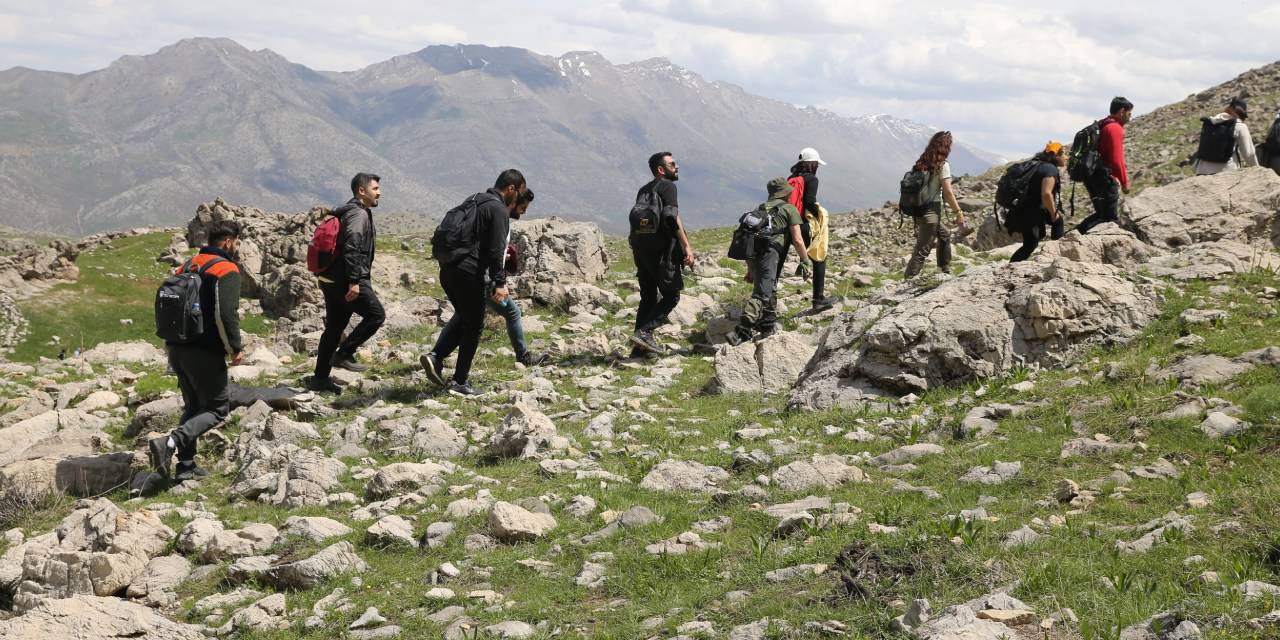Ağlayan gelinler açtı herkes görmek için akın etti