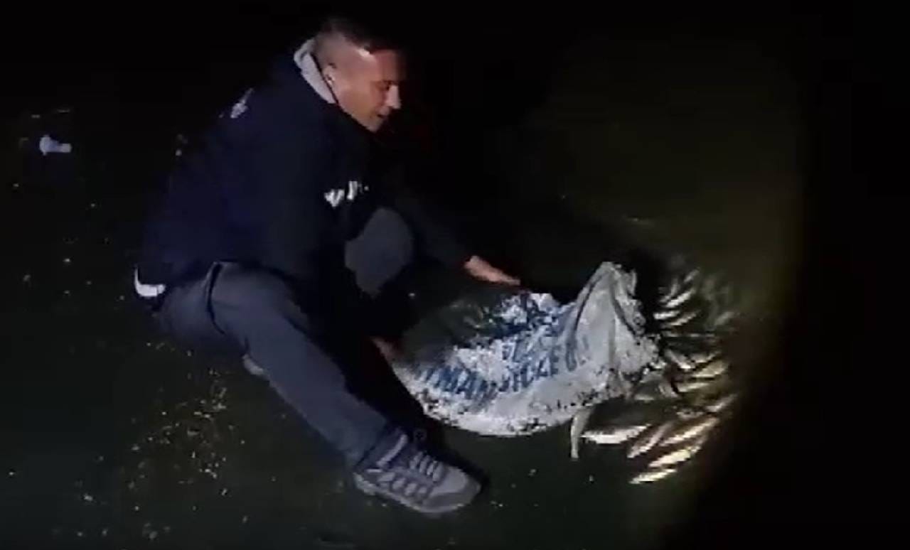 Van'da kaçak avcılara geçit yok! Yüzlerce balık ele geçirildi