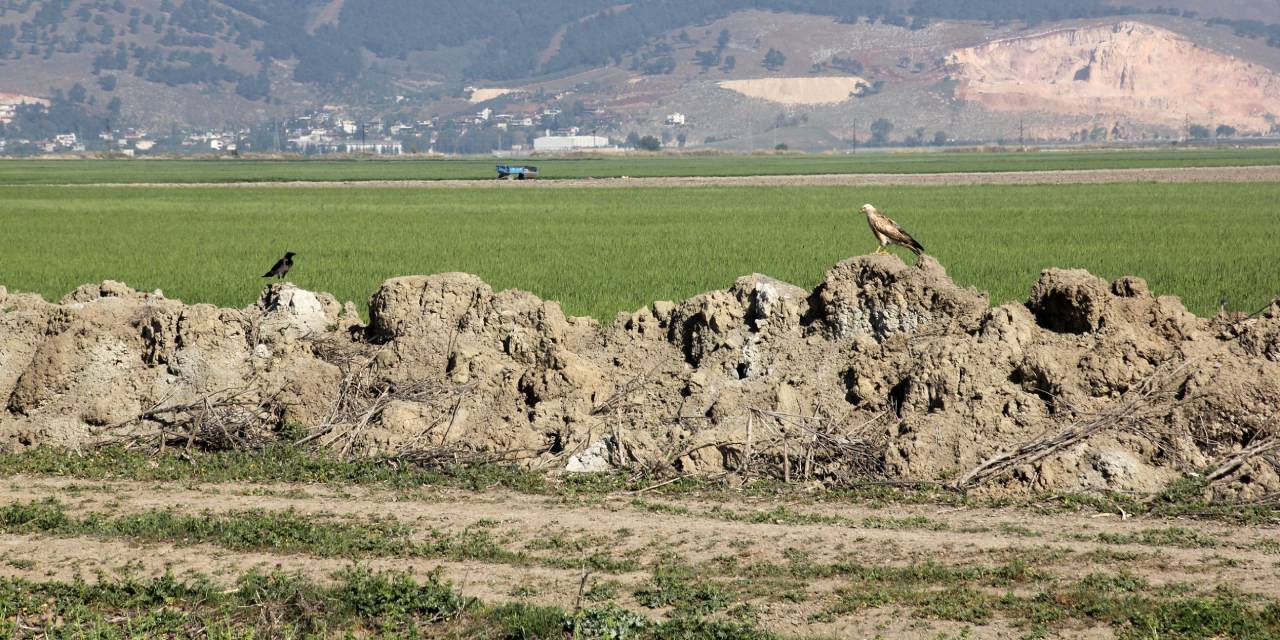 Baharın gelişiyle Hatay'da göç yoğunluğu arttı: Haziran sonuna kadar sürecek