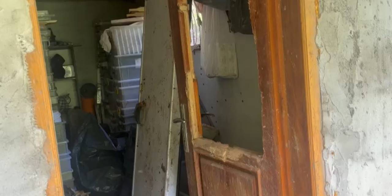 Kış uykusundan uyanıp evlere saldırdılar