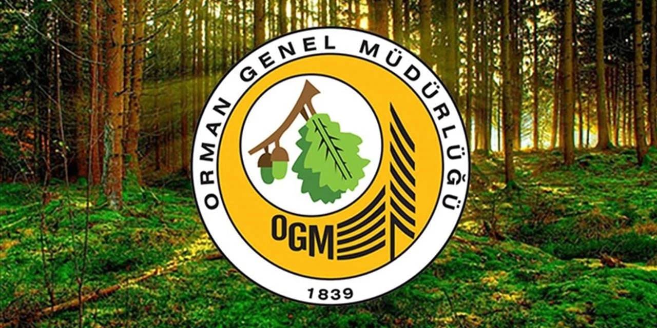 Orman Genel Müdürlüğü'nden personel alımı ilanı