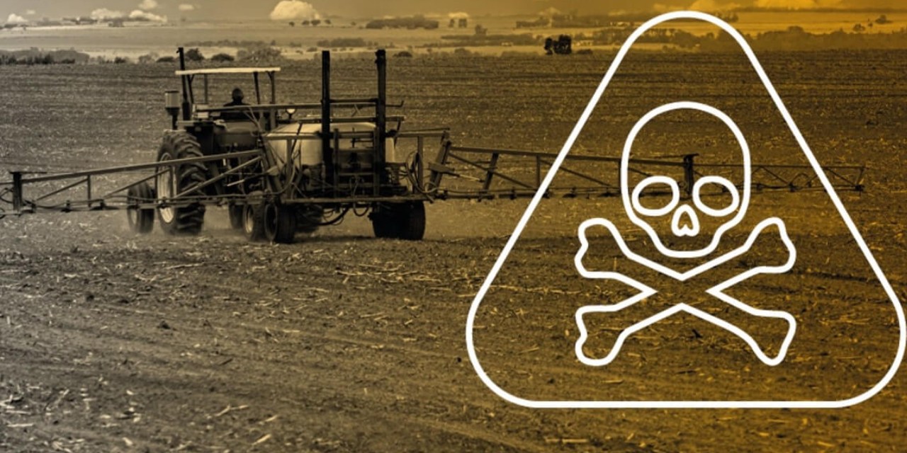 Kara liste açıklandı: Pazar ve marketten alınan her üç üründen biri zehirli