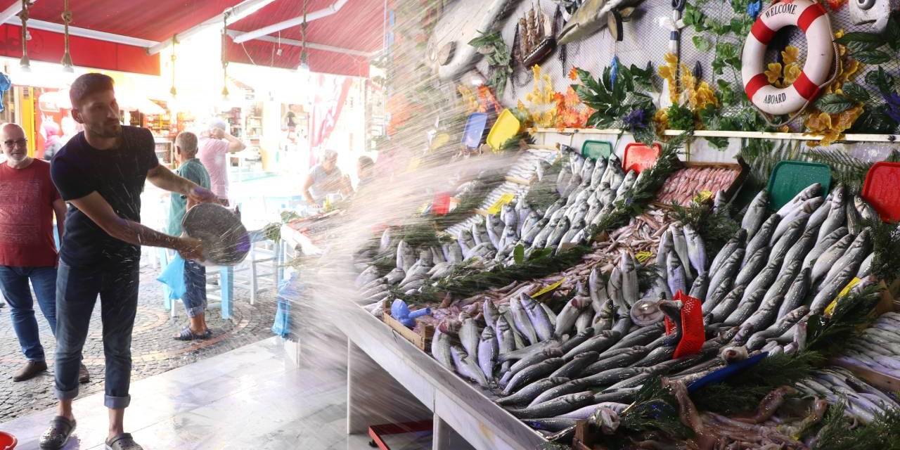 Av sezonu bitti: Balık fiyatları ne kadar oldu?