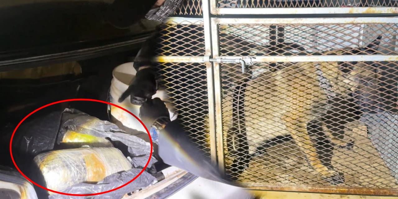 Uyuşturucu tacirlerinden pes dedirten yöntem: Köpeklerin altına sakladılar!