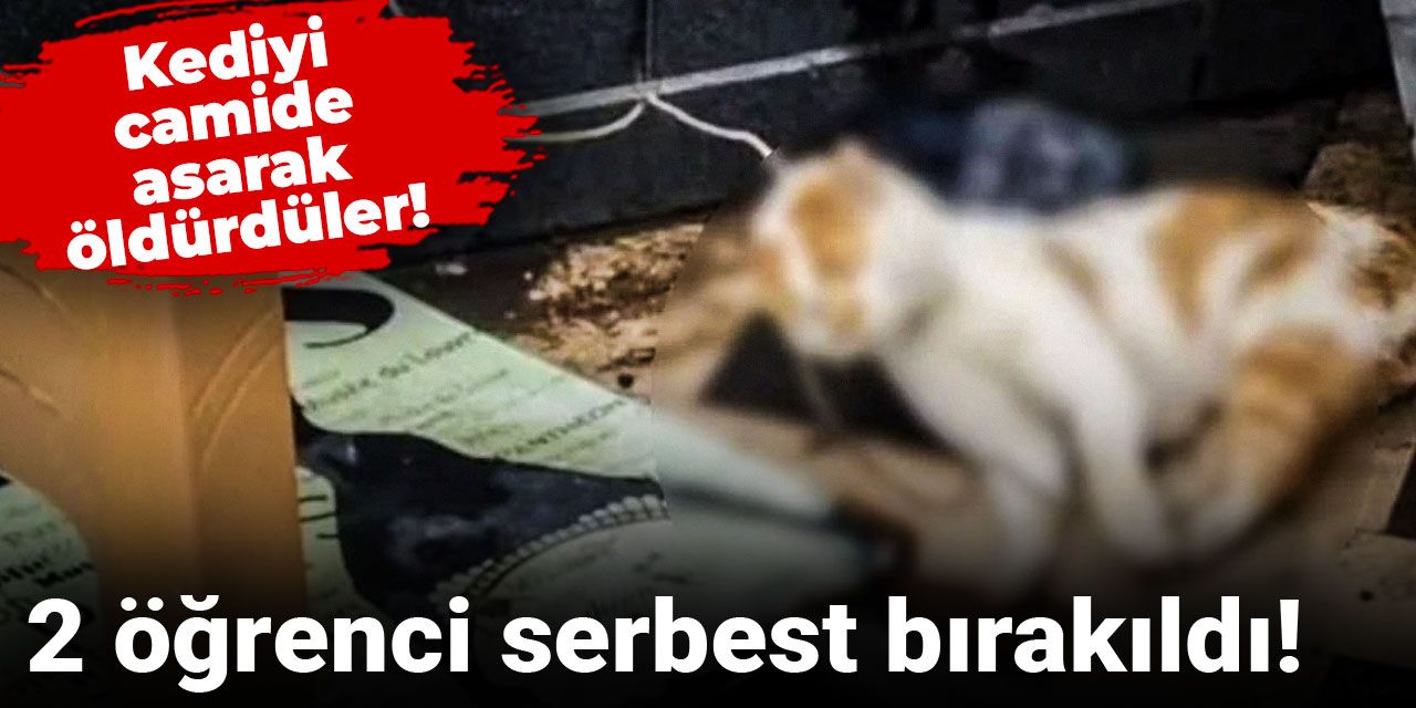 Kediyi camide asarak öldürdüler! 2 öğrenci serbest bırakıldı