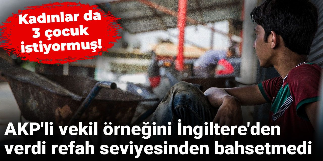 Kadınlar da 3 çocuk istiyormuş! AKP'li vekil örneğini İngiltere'den verdi refah seviyesinden bahsetmedi