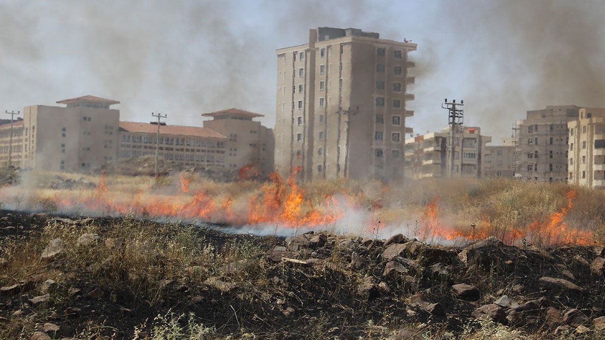 Şanlıurfa'da korkutan yangın