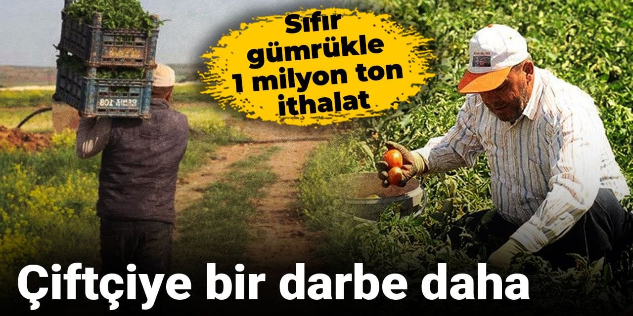 Çiftçiye bir darbe daha: Sıfır gümrükle 1 milyon ton ithalat
