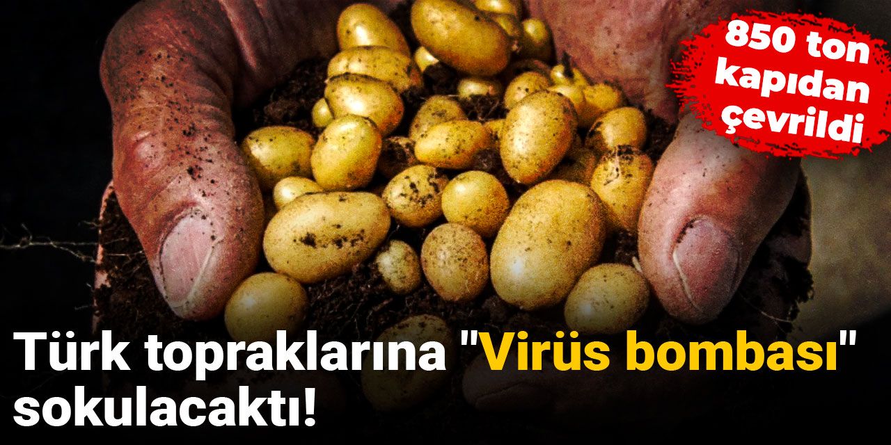 Türk topraklarına "Virüs bombası" sokulacaktı! 850 ton kapıdan çevrildi