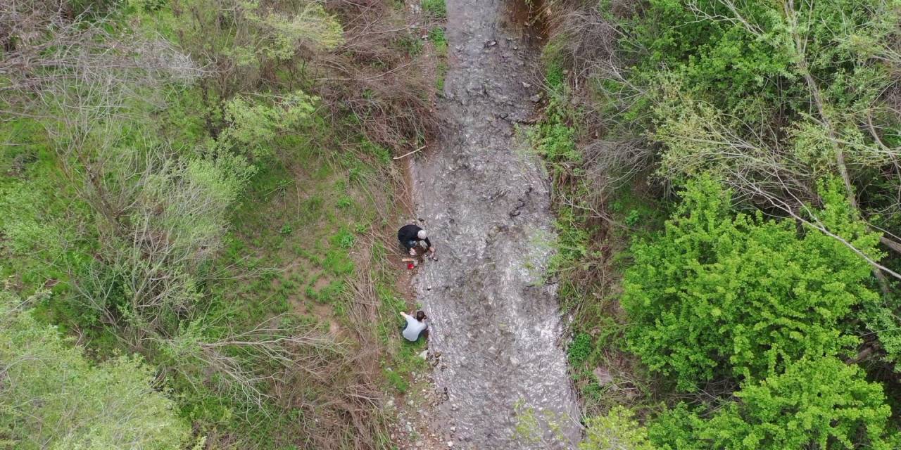 Türk ve Amerikalı bilim insanlarından büyük keşif: Dünya literatürüne kazandırıldı