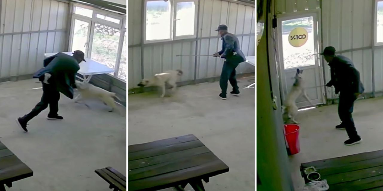 Kaçmasın diye kapıyı kapattı, bastonuyla vurdu