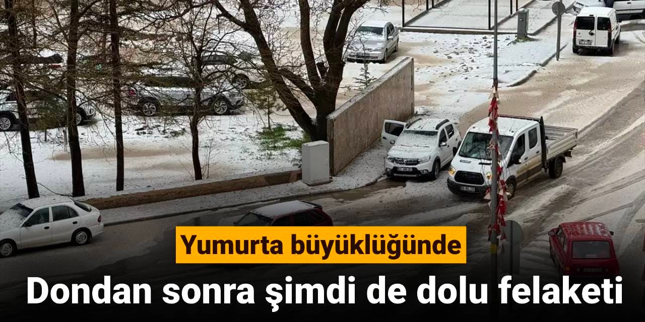 Dondan sonra şimdi de dolu felaketi: Yumurta büyüklüğünde dolu tarım arazilerini felç etti