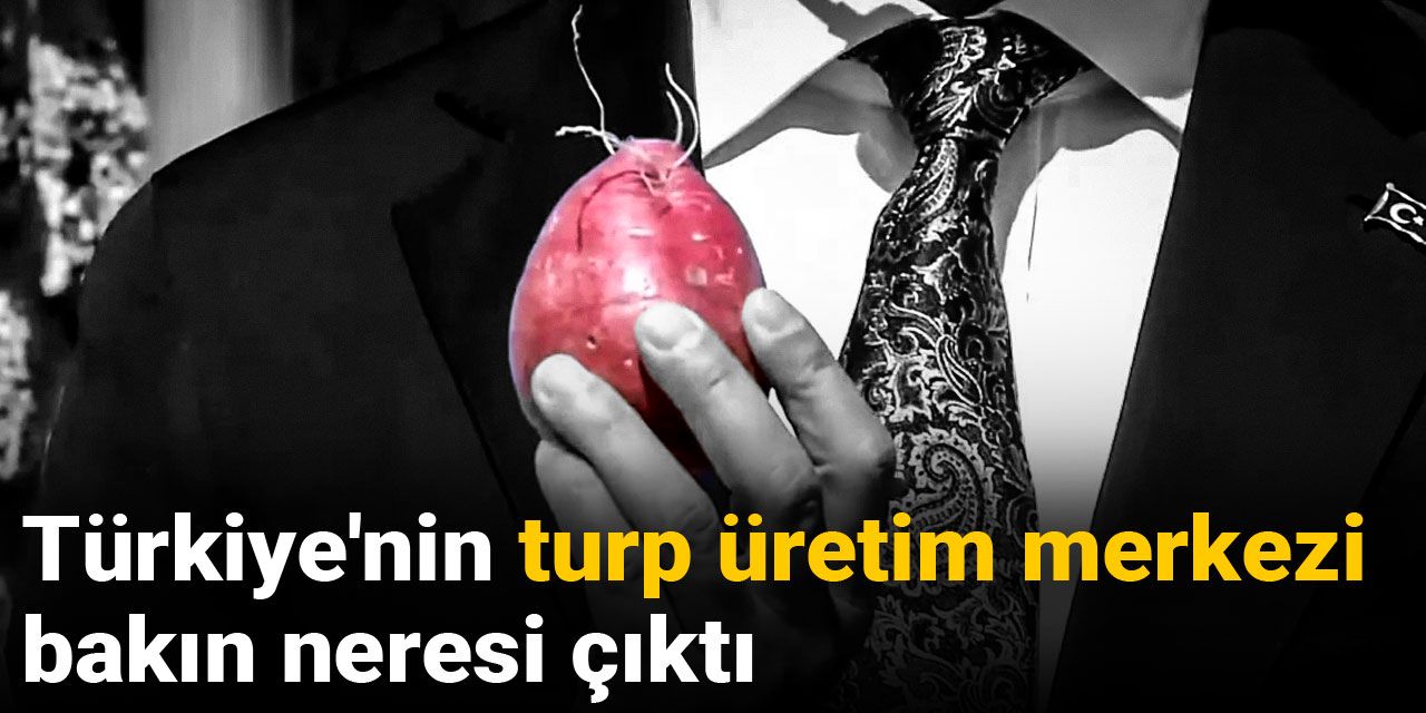 Türkiye'nin turp üretim merkezi bakın neresi çıktı