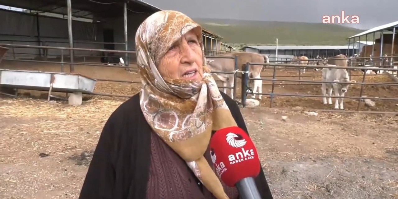 74 yaşındaki Konyalı kadın çiftçi çektiği çileyi anlattı