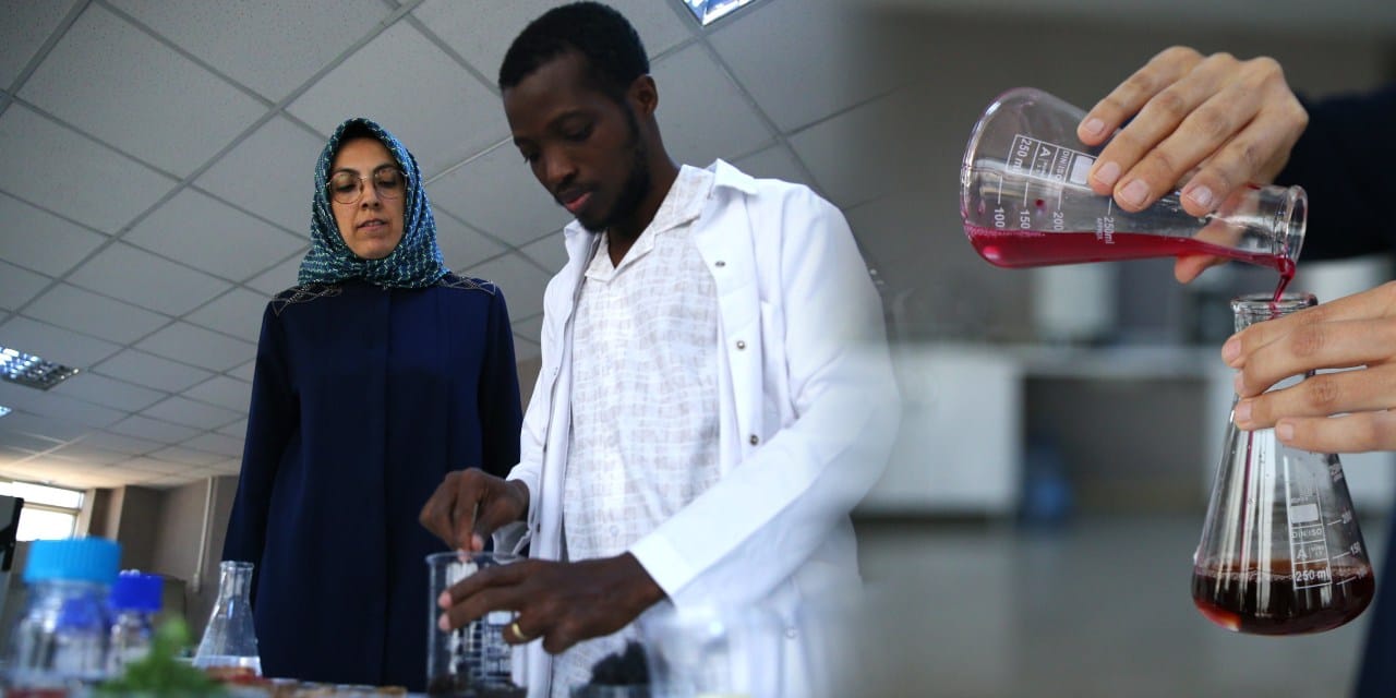 Yosundan akıllı etiket! Bozulan gıdayı renk değişimiyle haber veriyor