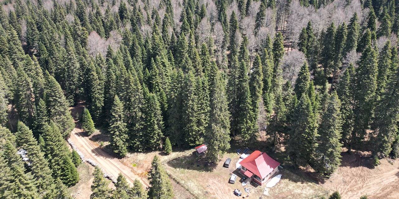 Bartın ve Karabük yaylalarında ilkbahar güzelliği