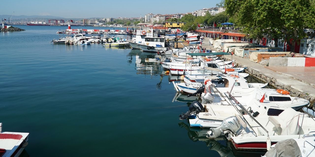 Tekirdağ’da istavrit mesaisi! Balıkçılar ava çıktı