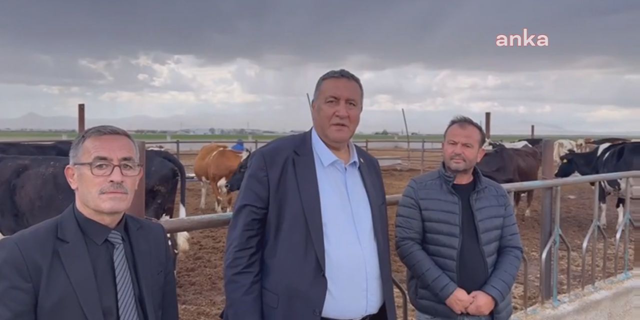CHP'li Gürer'den süt isyanı: Fransa bizden fazla süt üretiyor