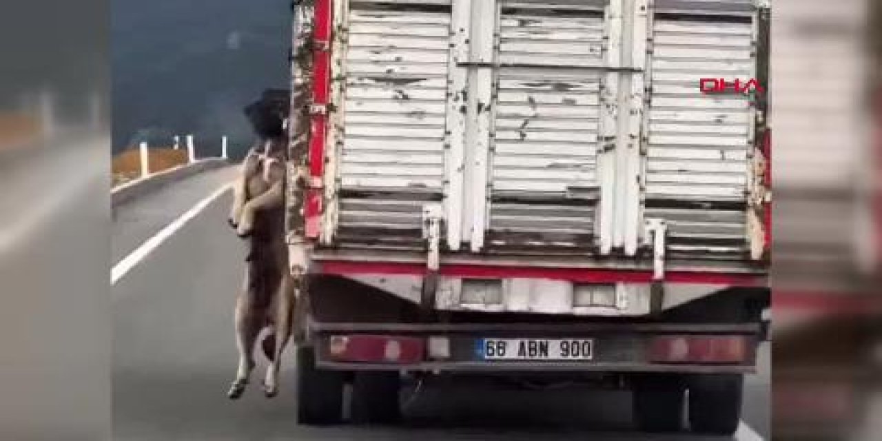 Yozgat'ta kamyonetin peşinde sürüklenen köpeğe tepki yağıyor!