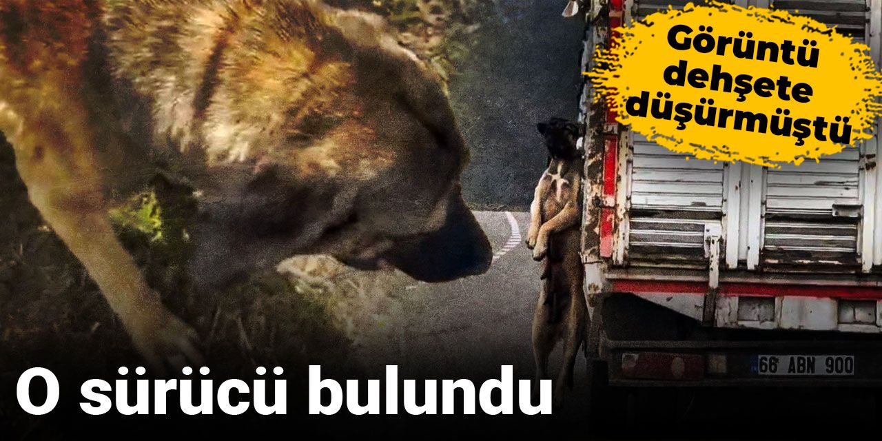 Görüntü dehşete düşürmüştü: O sürücü bulundu