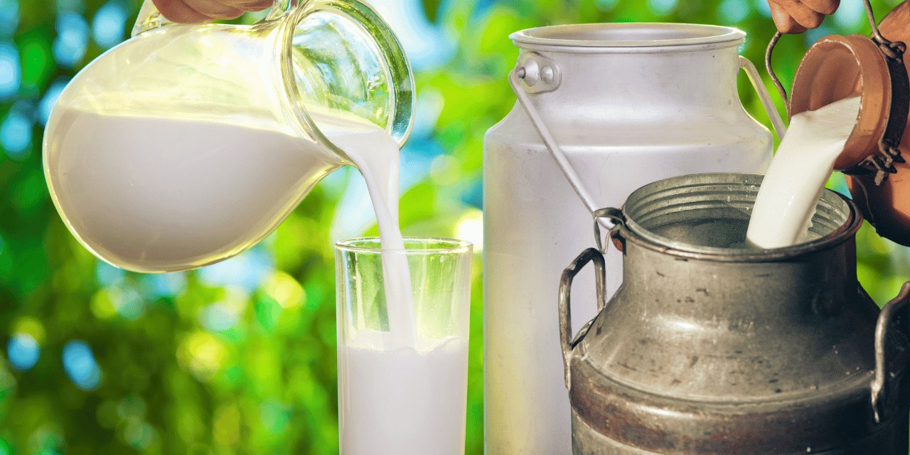 Onlarca süt şirketine soruşturma! Sütaş, Tahsildaroğlu, Pınar Süt... Liste uzun