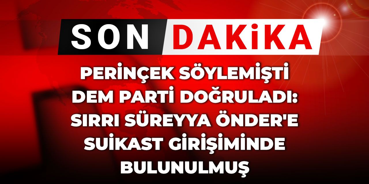 Son Dakika | Perinçek söylemişti, DEM Parti doğruladı: Sırrı Süreyya Önder'e suikast girişiminde bulunulmuş