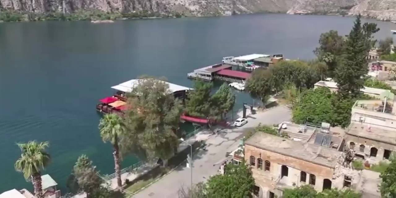 Türkiye'de sadece Halfeti'de yetişiyor: Kolonyadan çikolataya kadar her şeyin içinde var