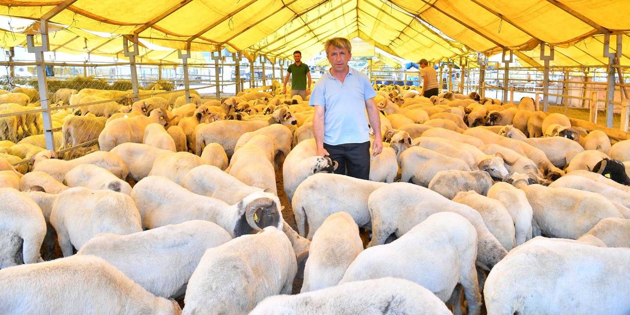 Kurban satış yerleri belli oldu