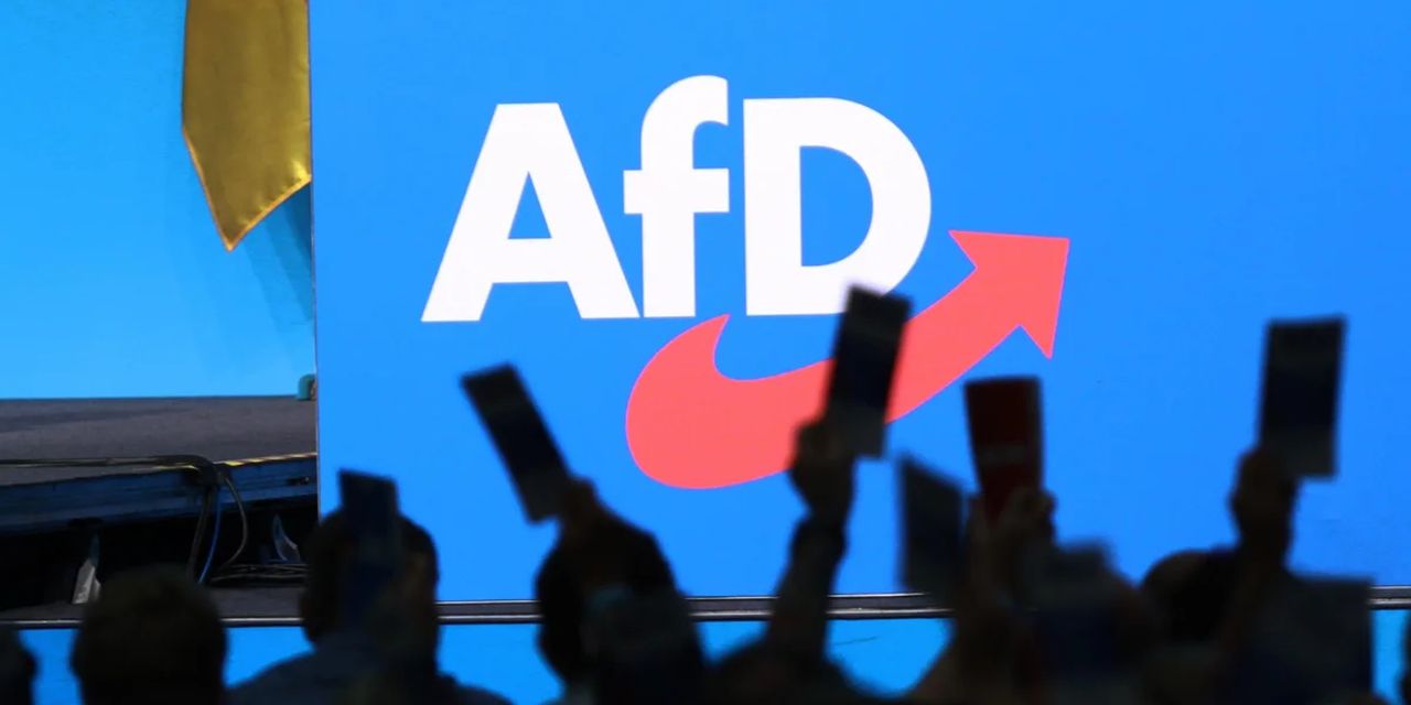 Alman istihbaratının hazırladığı gizli AfD belgeleri sızdırıldı