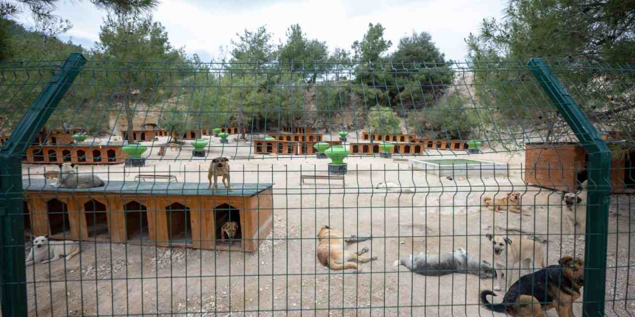Mersin'de  ‘Patiköy Doğal Yaşam Alanı ve Sahiplendirme Merkezi’ açıldı