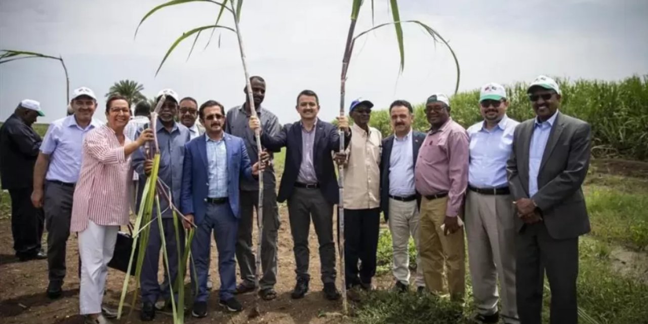 AKP'nin Sudan fiyakosu ortaya çıktı: 276 milyon lira çöpe gitti