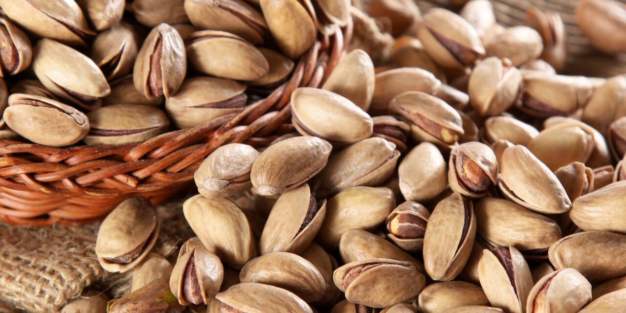 Fıstık bu yıl çok pahalı olacak! "3 yıl ürün alamayacağız"