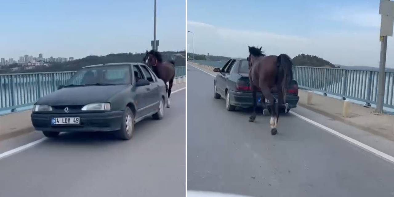 Atı otomobilin arkasına bağladı:  1986 TL ceza yedi