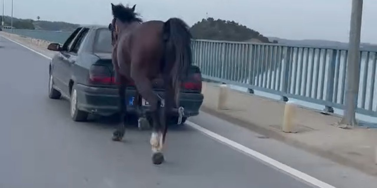 Hareket halindeki araca at bağlayan 2 kişi yakalandı