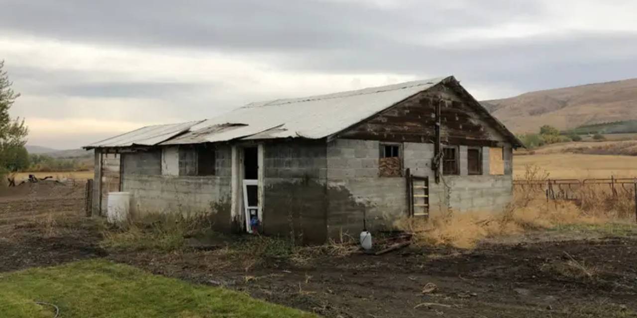 Kümesi eve çevirdi: Para basıyor